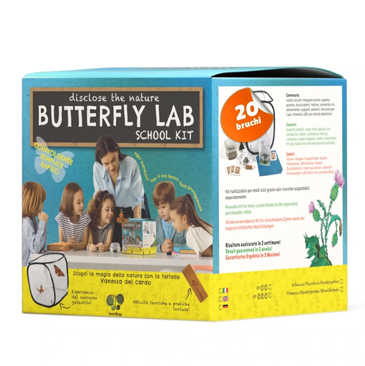 Butterfly Lab - 30 Raupen