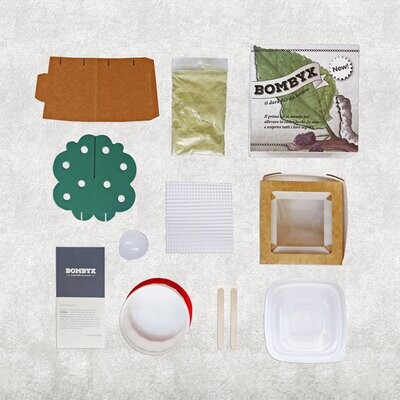 Bombyx - Raupen - Seidenspinner