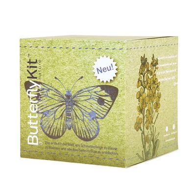 ButterflyKit - Raupen - Großer Kohlweißling