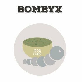 Neue Seidenspinnerraupen sowie Futter für Bombyx