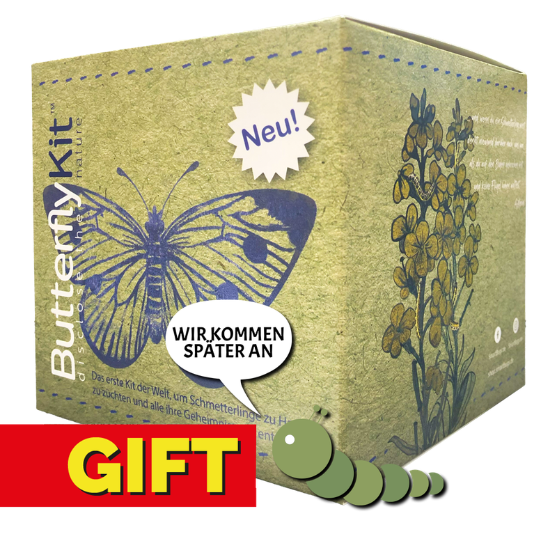 GESCHENKVERSION - ButterflyKit ohne Raupen