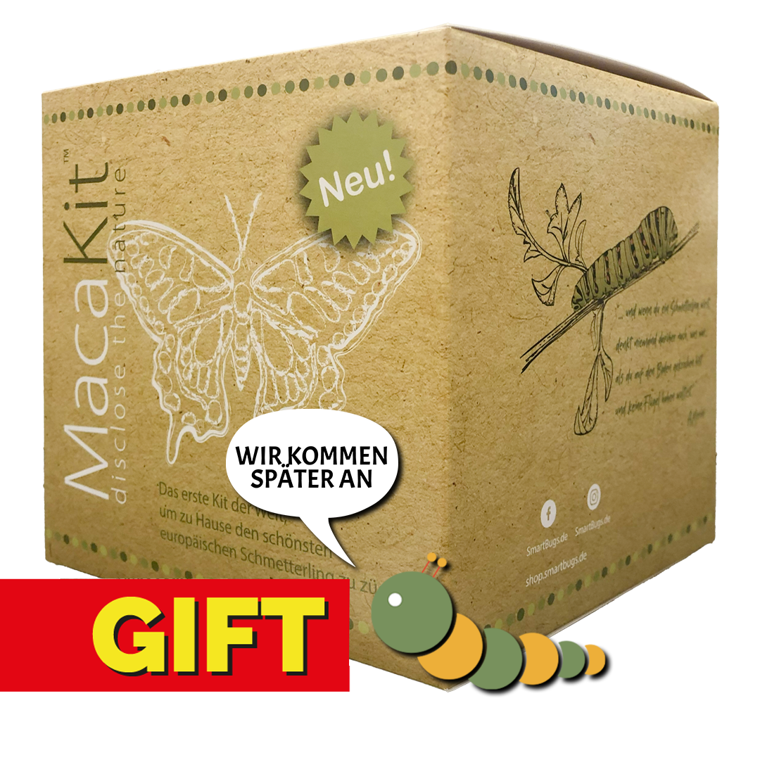 GESCHENKVERSION - Macakit ohne Raupen
