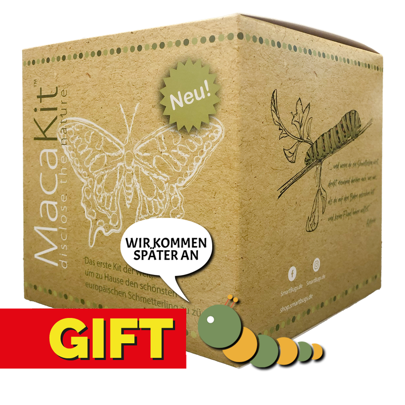 GESCHENKVERSION - Macakit ohne Raupen