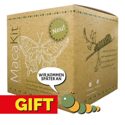 GESCHENKVERSION - Macakit ohne Raupen