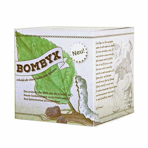 GESCHENKVERSION - Bombyx ohne Seidenspinner