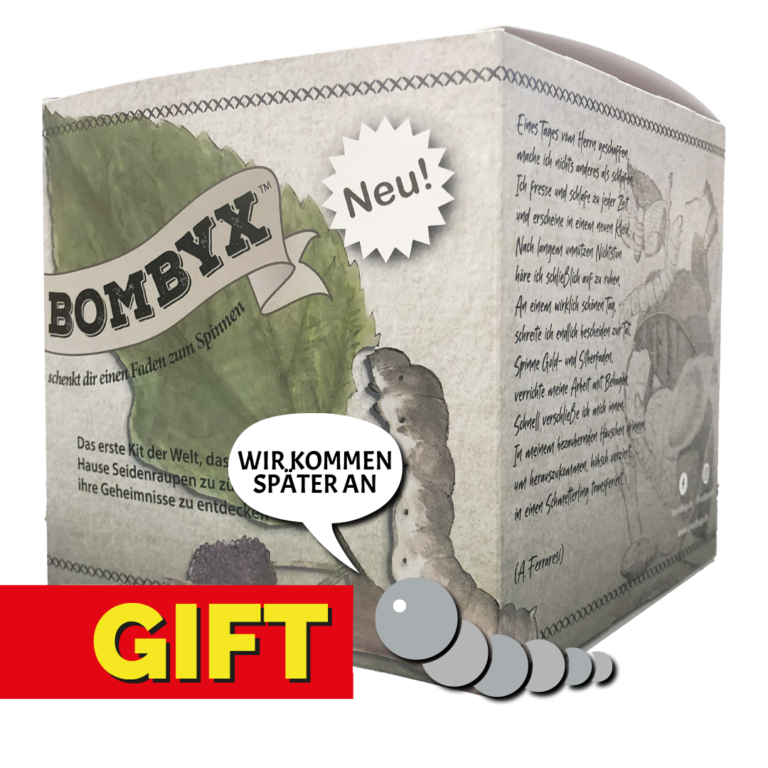 GESCHENKVERSION - Bombyx ohne Seidenspinner