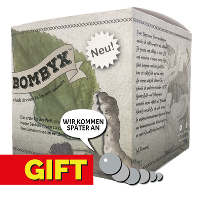 GESCHENKVERSION - Bombyx ohne Seidenspinner