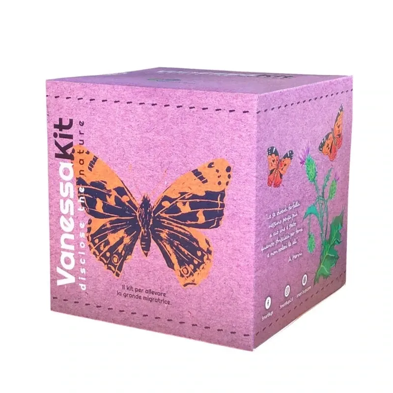 Vanessakit - Raupen - Distelfalter