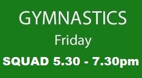 Friday 5.30 - 7.30pm SQUAD 3 Summer Term 2026