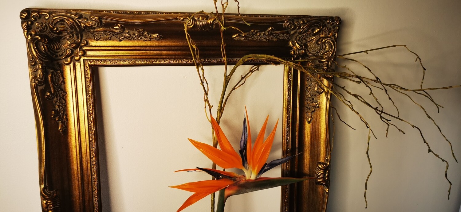 Ornate Frame 01 - Gold 41x51cm Imperial