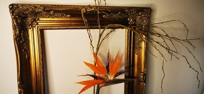 Ornate Frame 01 - Gold 41x51cm Imperial