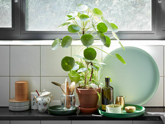 Vitra Trays