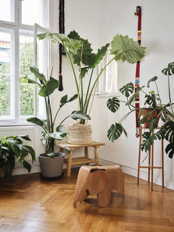 Vitra Eames Elephant (Plywood)
