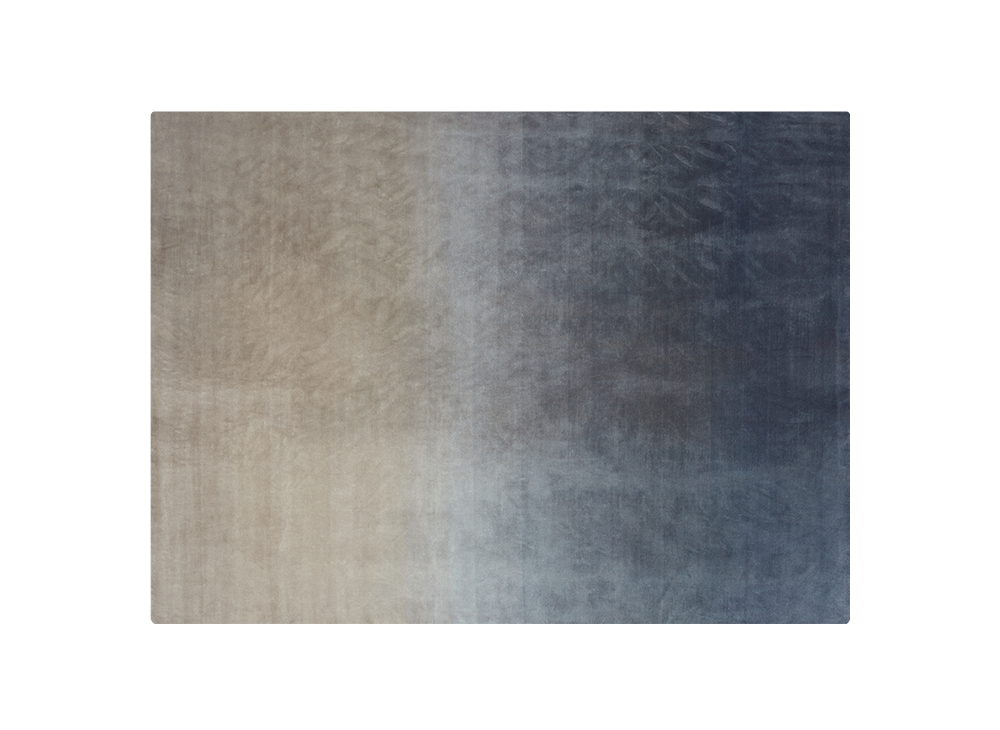 GAN Degrade Rug