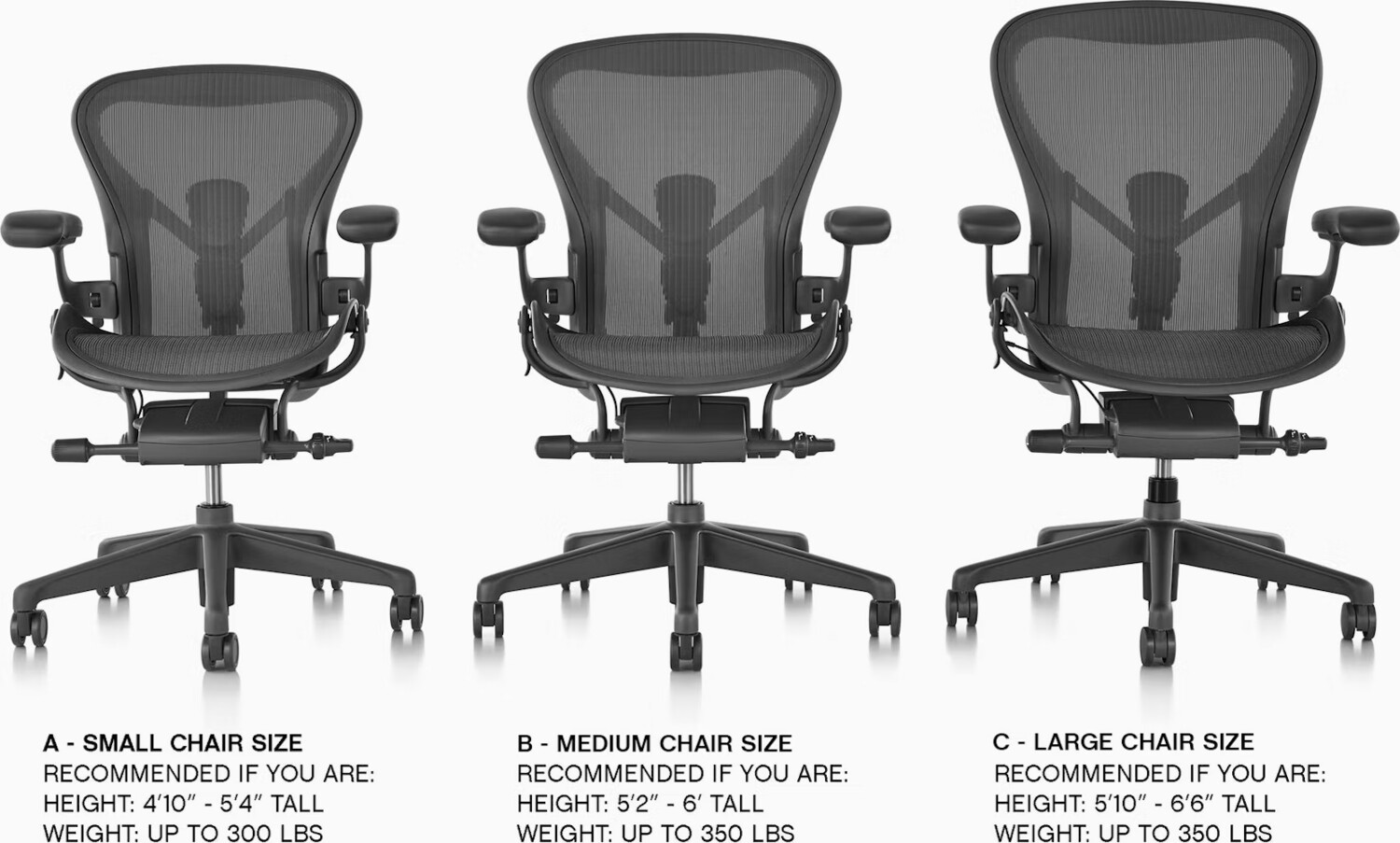 Herman Miller Aeron Chair, Basic Model