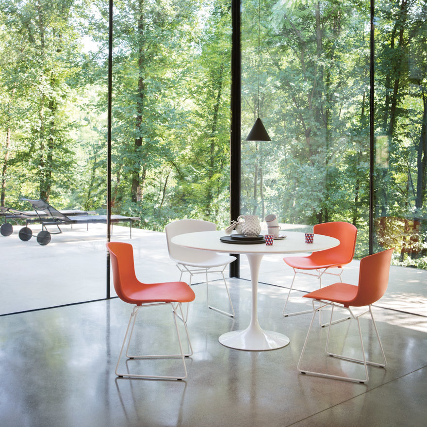 Indoor Bertoia Molded Shell Side Chair