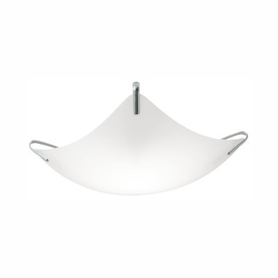 Nemo Vela Wall/Ceiling Lamp