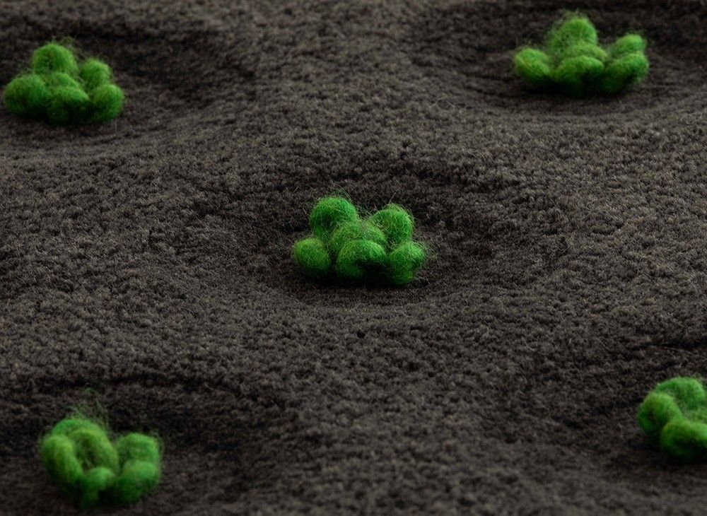 GAN La Geria-Lanzarote