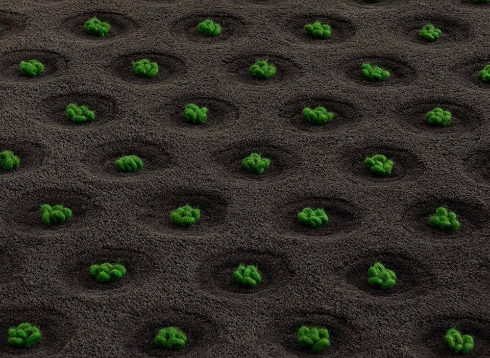 GAN La Geria-Lanzarote