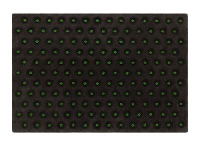 GAN La Geria-Lanzarote