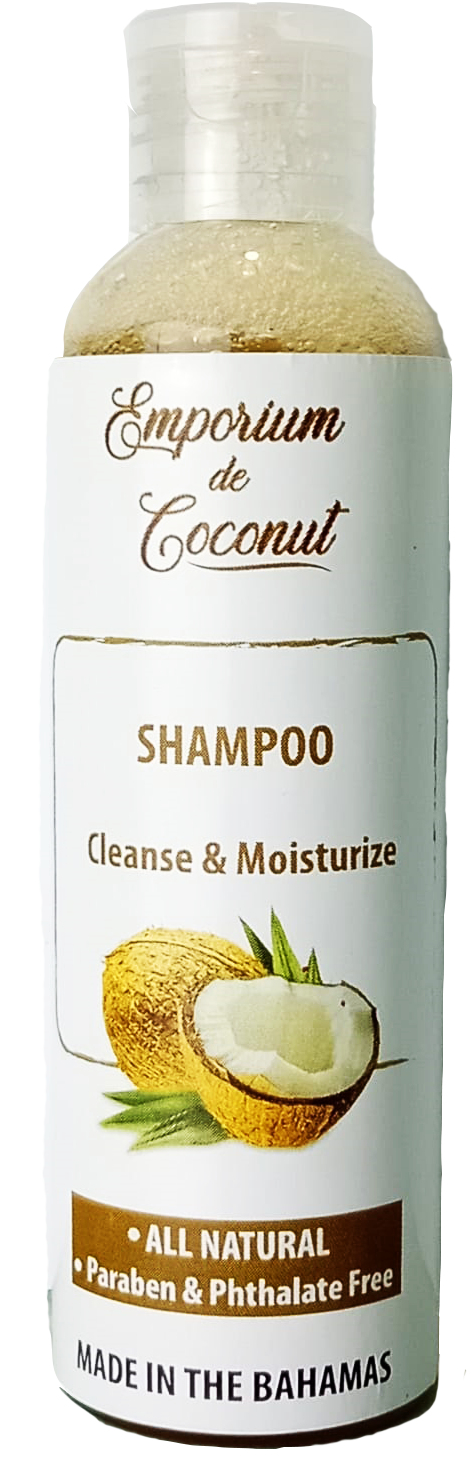 Coconut Shampoo - 6 oz