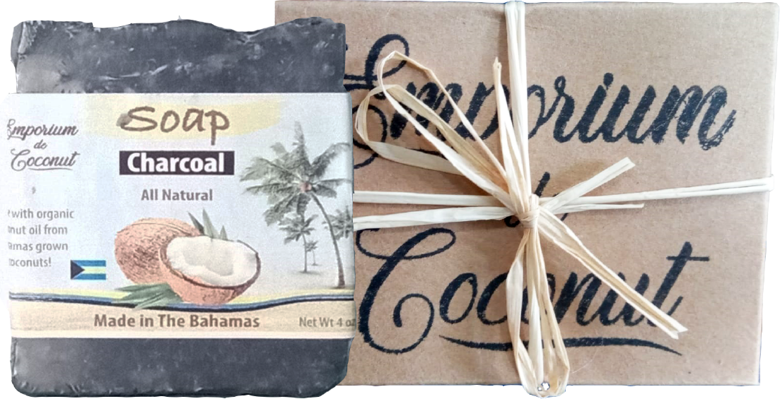 Activated Charcoal Soap - 4.7 oz