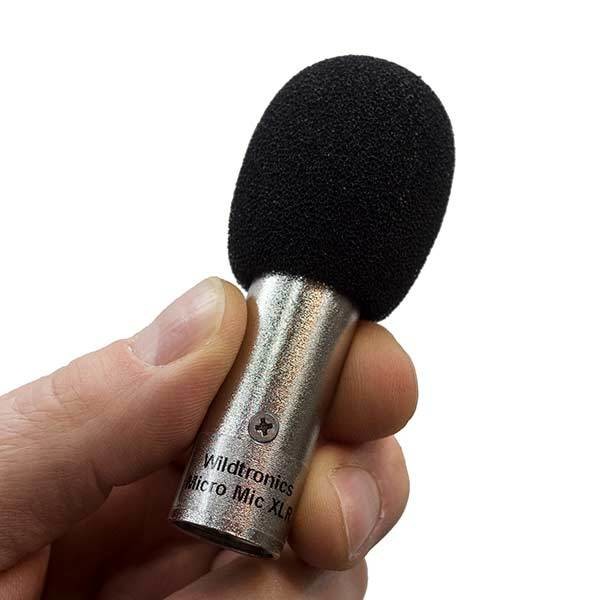 Micro Mic XLR