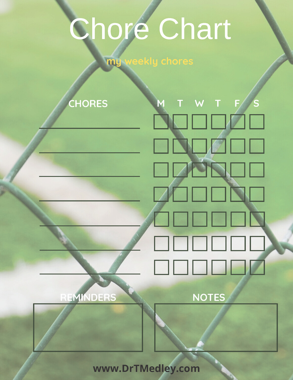 Child Chore Chart- sports