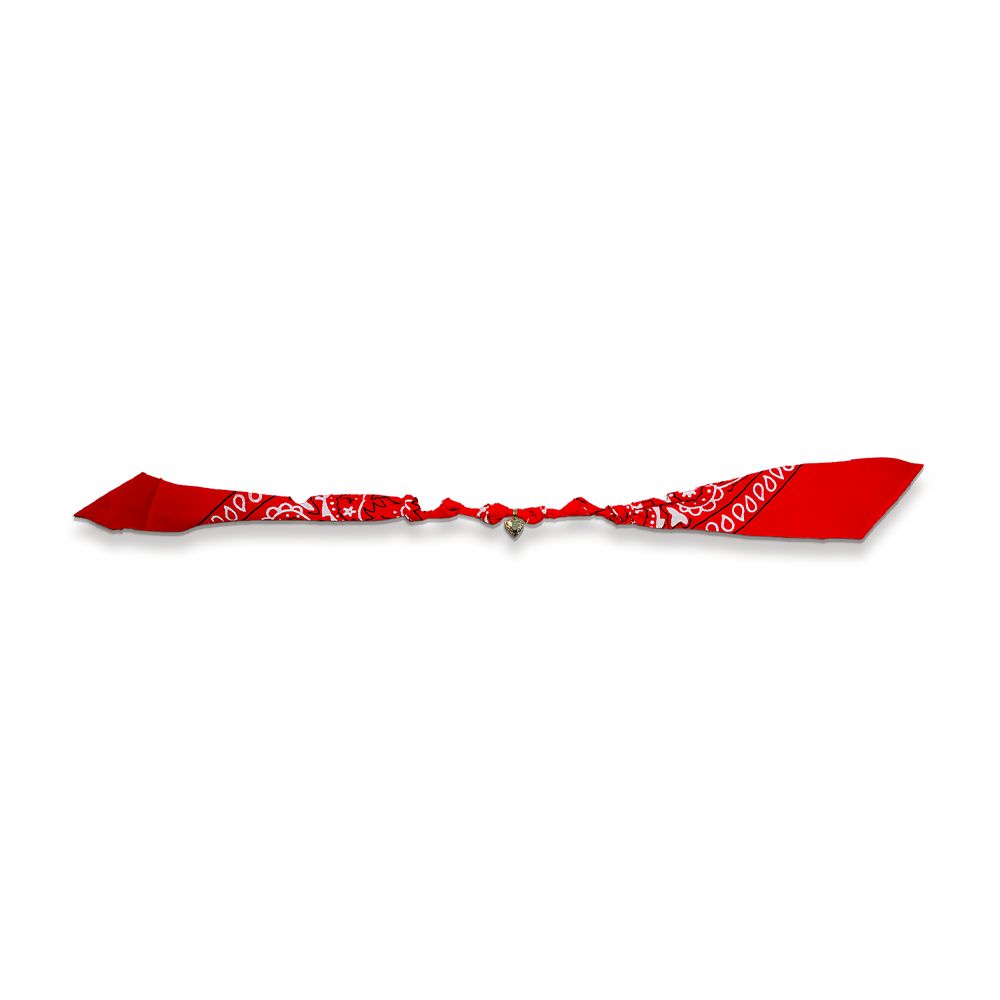 Collier Bonheur - 1 Pampille