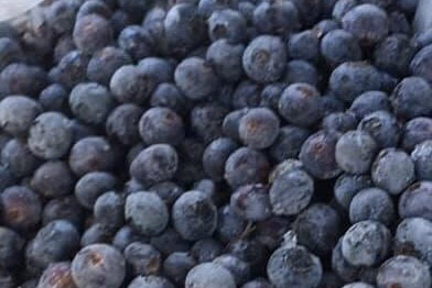Frozen Blueberries 1kg