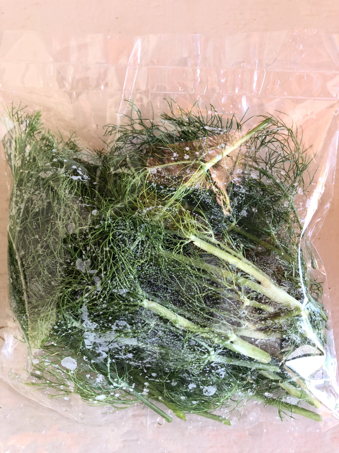 Fennel leaves