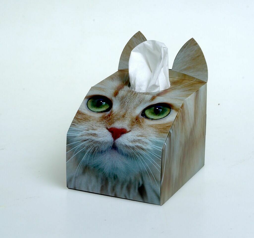Ginger Cat Tissue Box Set