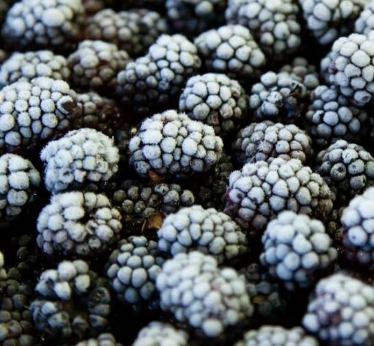 Frozen Blackberries 1kg