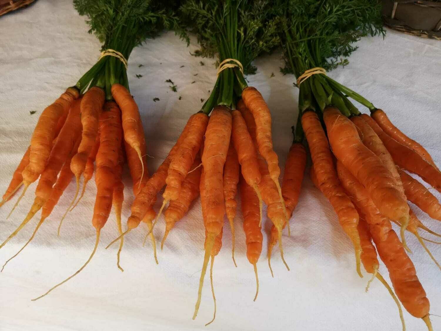 Carrots (Ambersky Farm)