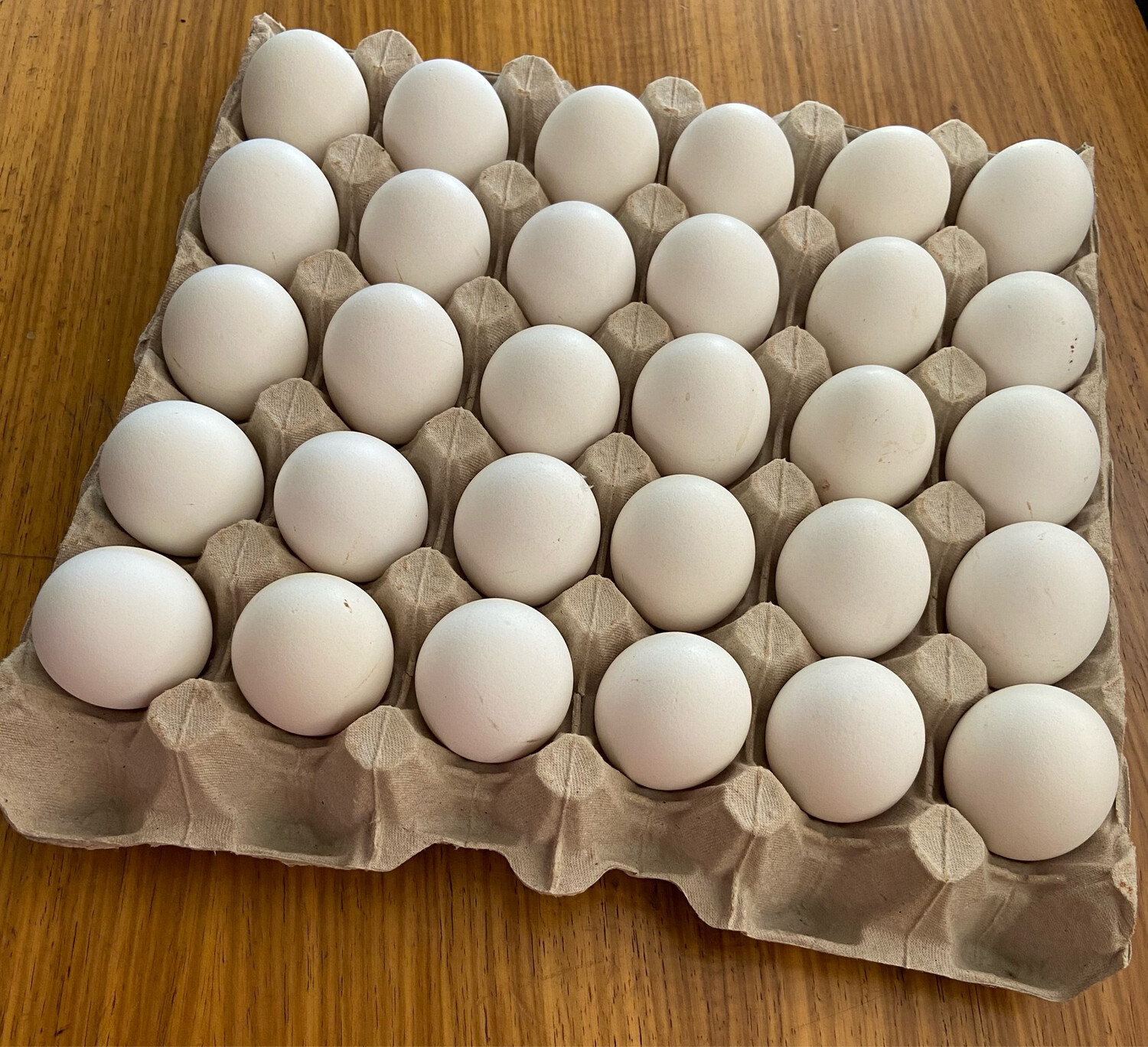 Free Range Eggs (30)