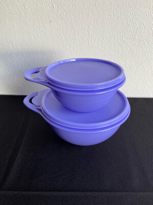 That's a Bowl Set (600ml and 1,4L) Purple