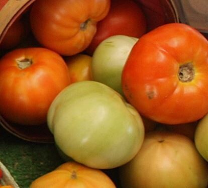Tomatoes 500g (Chartwell Veggie Patch)