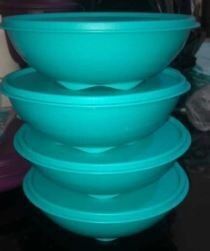 Imbizo Bowls with Seals (4 x 700ml) Turquoise