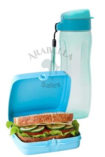Sandwich Keeper and Eco Bottle (500ml) (Blue)