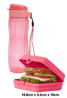 Sandwich Keeper and Eco Bottle (500ml) (Pink)