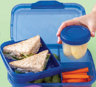 Bento Lunch Box 1.6lt  + Smart Pods (200ml x 1) Blue