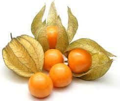Fresh Cape Gooseberries 1 x 150g punnet