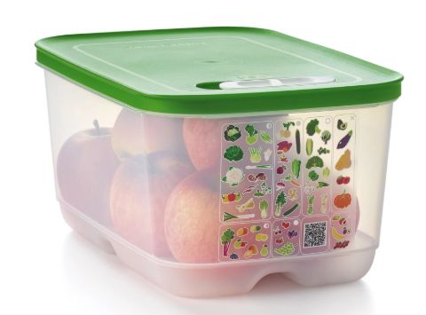 FridgeSmart® Large 4.4L