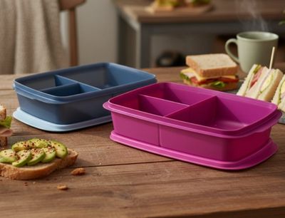 Divided Luncher set (2)