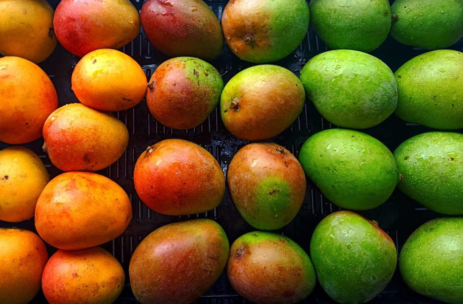 Mangos 2kg (Tommy Atkins - usually 7/8)