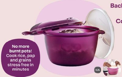 Microwave Rice Maker (2.2L)