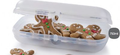 Oyster Oblong (750 ml) Clear