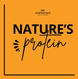 Matomani