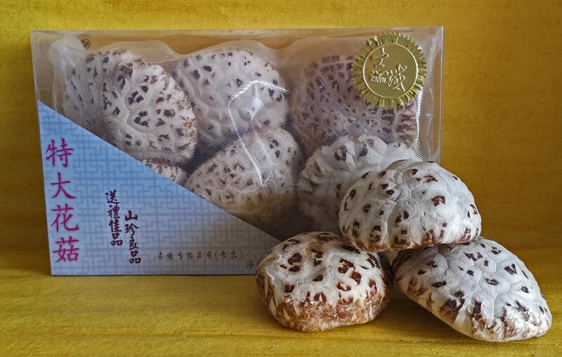 特大花菇