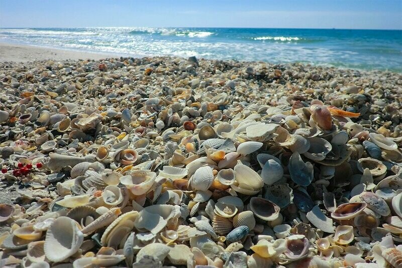 Leinwandbild Muschelstrand